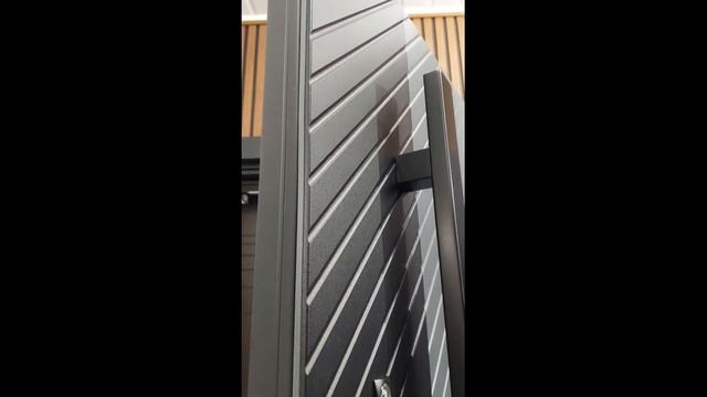 Стальная дверь АСД Агава с зеркалом смотреть онлайн