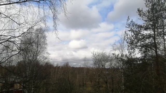 2024.04.14. Погода Петербург. 13:00. +11°. Облачно. День садовод? смотреть онлайн