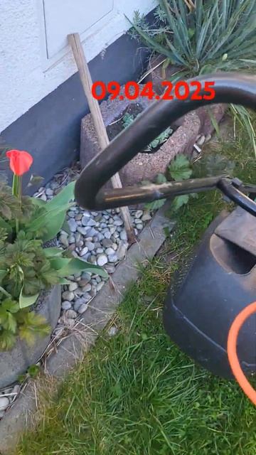 Первый покос травы, земля очень сухая #трава смотреть онлайн