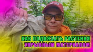 Лайфхак для садовода: как быстро подвязать Смородину с помощью укрывного материала 🤫