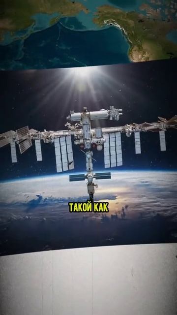 Точка Немо #oceanlife#Shark# смотреть онлайн