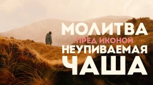 Тропарь Пресвятой Богородице «Неупиваемая Чаша»