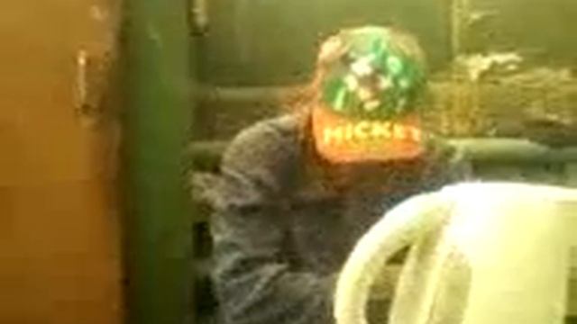 Зеленый ботинок 2