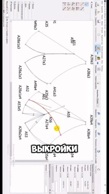 Курсы нижнего белья