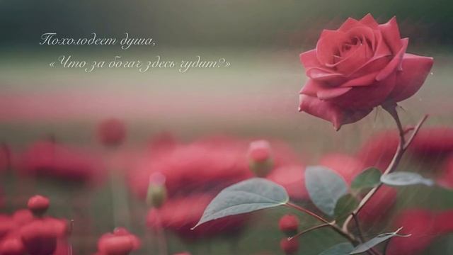 Lev Adamyan - Миллион алых роз (COVER)