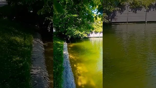 Чистые ПРУДЫ. Утро. Воскресенье. МОСКВА смотреть онлайн