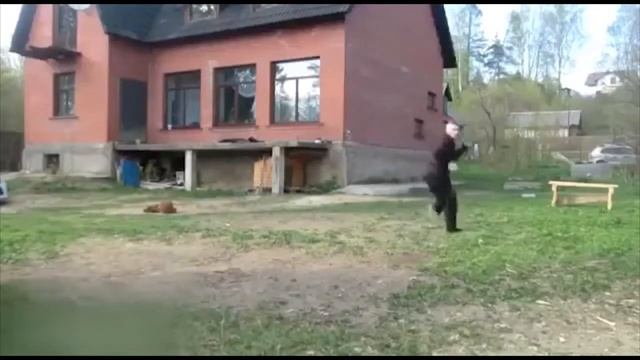 Школа колбасы