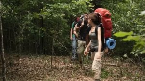 Очень сильный фильм пошли в экспедицию в древние леса