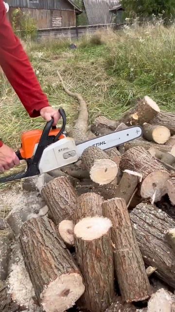 STIHL - MS 180 заготівля смотреть онлайн