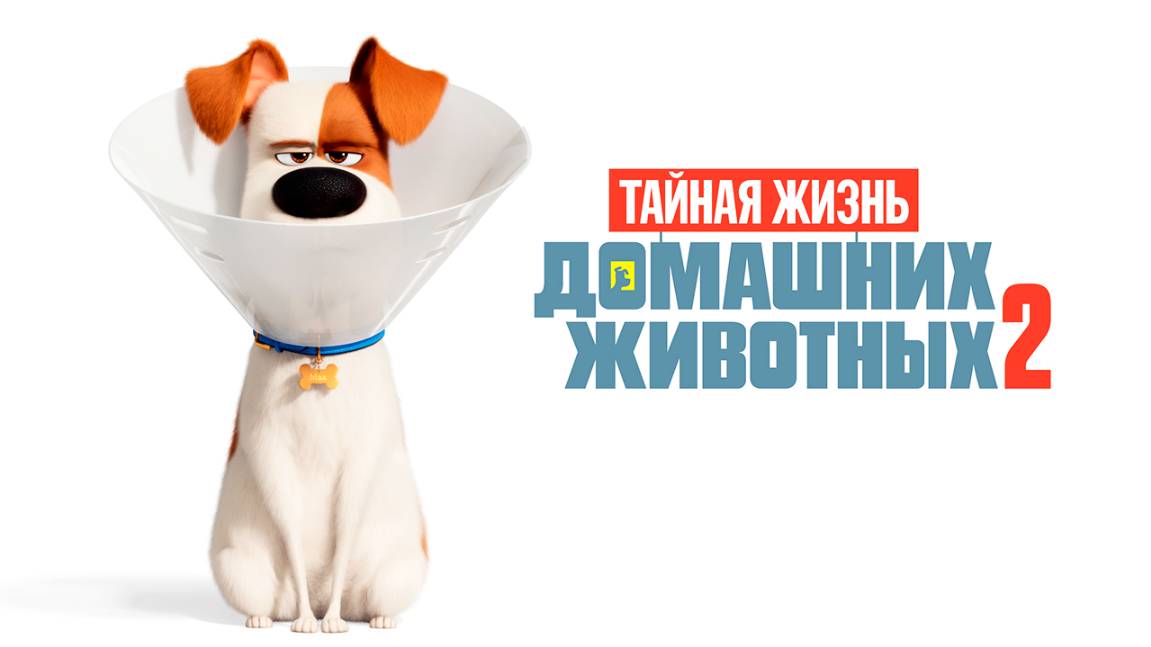 Тайная жизнь домашних животных 2 (2019) / The Secret Life of Pets 2 смотреть онлайн