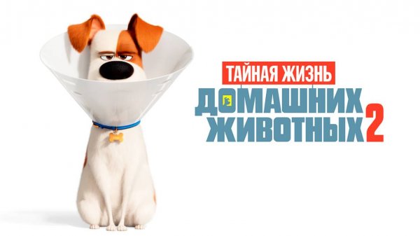 Тайная жизнь домашних животных 2 (2019) / The Secret Life of Pets 2