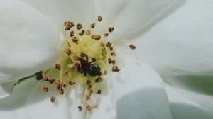 Бывший детдомовец получил дом в деревне… А когда стал