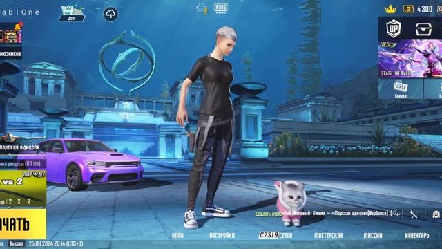 КАК ПОЛУЧИТЬ КОСИЧКИ, ЗАЛИЗ И ВНЕШКУ БЕСПЛАТНО!!! PUBG MOBIL