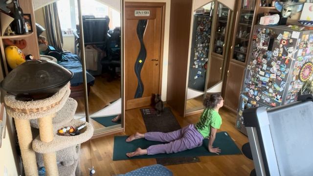 Интенсивная практика хатха йоги на все тело: балансы, перевернутые асаны, позы героев, поклон солнц