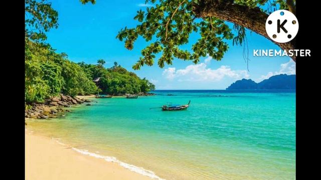 Ч.8 Загарбники планети життя. Лоран Гунель "Людина, що хотіла бути щасливою" смотреть онлайн