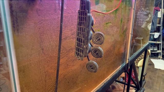 Пруд в гараже.Новые планы по лотосам. смотреть онлайн