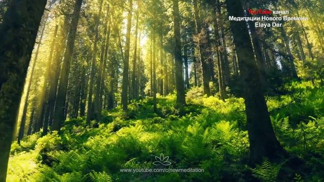 АффОрмация + Пазл БЛАГОДАРНОСТИ. Мне интересно почему мне важно как Я Благодарю себя и Мир. вибраци