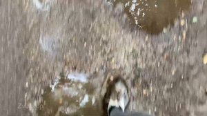 Звук шагов по лужам в кроссовках