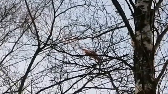 на ковре вертолёте. смотреть онлайн