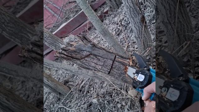 Пила цепная аккумуляторная кусторез электропила г Но? смотреть онлайн