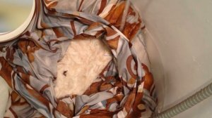 Как постирать перьевую подушку в домашних условиях