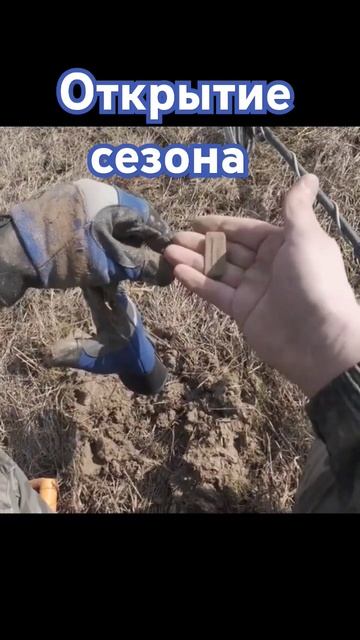 неизвестная находка #ака #сигнум #клад #коп #металлодет смотреть онлайн