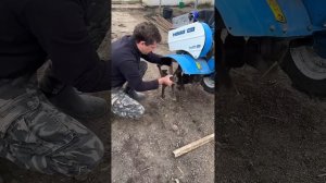 Мотоблок мой помощник мой способ замены колес на фрез?