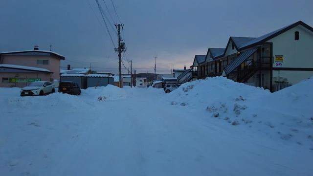 Чудесная Снежная прогулка по ХОККАЙДО! смотреть онлайн