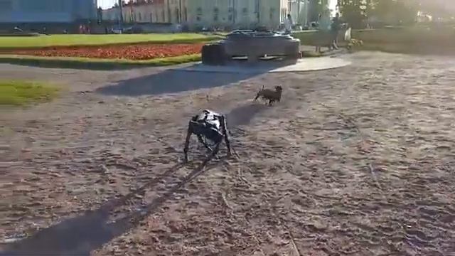 Черное зеркало