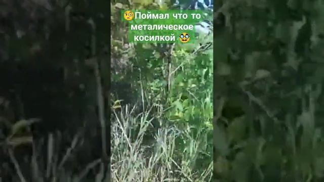 Роторная косилка Заря.Сначало затрещал а потом услыш? смотреть онлайн