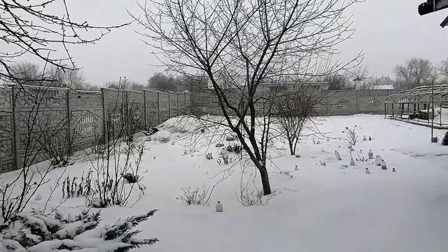 Нас Засыпает Снегом. Гуляю на Улице. Снова Молочные Продукты. смотреть онлайн