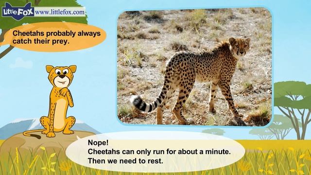 Meet the Animals 4 _ Cheetah _ Wild Animals _ Little Fox _ Animated Stories for смотреть онлайн