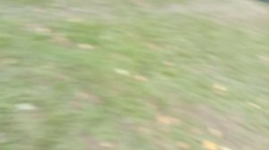 Пила Brait BR 2400 устранение течи масла