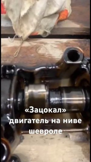 «Зацокал»двигатель на ниве шевроле #нива#нивашевроле#
