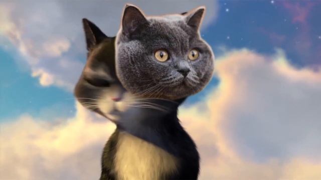 Вновь выпивая любви эликсир. Кот в шарфе. Твой мир пога