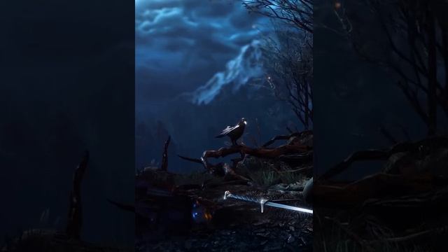ВИТРИНА ВИДЕО СТИМ смотреть онлайн