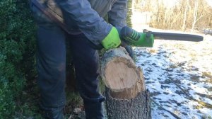 Акумуляторна пила ProCraft PKA 32 li від магазину Дачник ❗