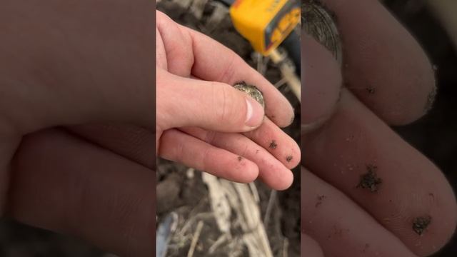 ОТКУДА СТОЛЬКО НАХОДОК? С МЕТАЛЛОИСКАТЕЛЕМ НА СТАРИНН смотреть онлайн