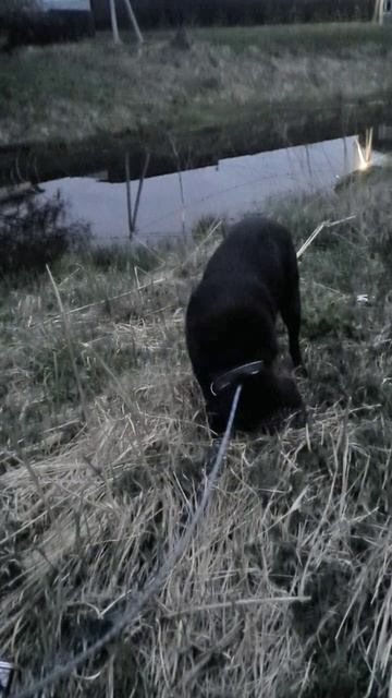 Вот тут копать можно.