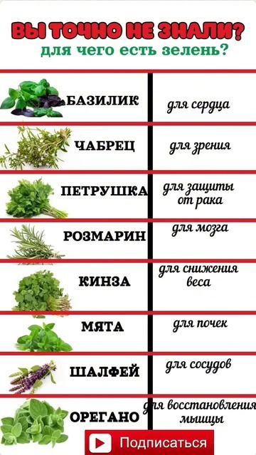 НЕ РЕЦЕПТ А ЗОЛОТО#ВЫ ТОЧНО НЕ ЗНАЛИ ? ДЛЯ ЧЕГО ЕСТЬ ЗЕЛ смотреть онлайн