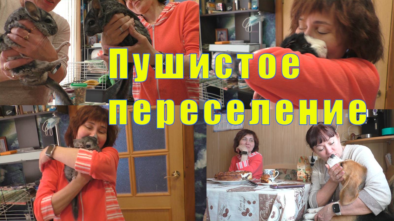 ПУШИСТОЕ ПЕРЕСЕЛЕНИЕ/ ВКУСНЫЙ ЛЕНОЧКИН ПИРОГ /15 мая 2025 смотреть онлайн