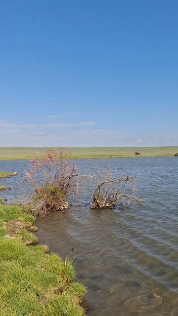 Озеро в селе Марфовка, Ленинский район, Крым