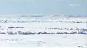 Вельвет и Григорий Лепс   Капитан Арктика