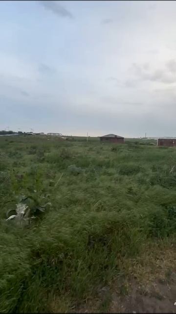 7787839 смотреть онлайн