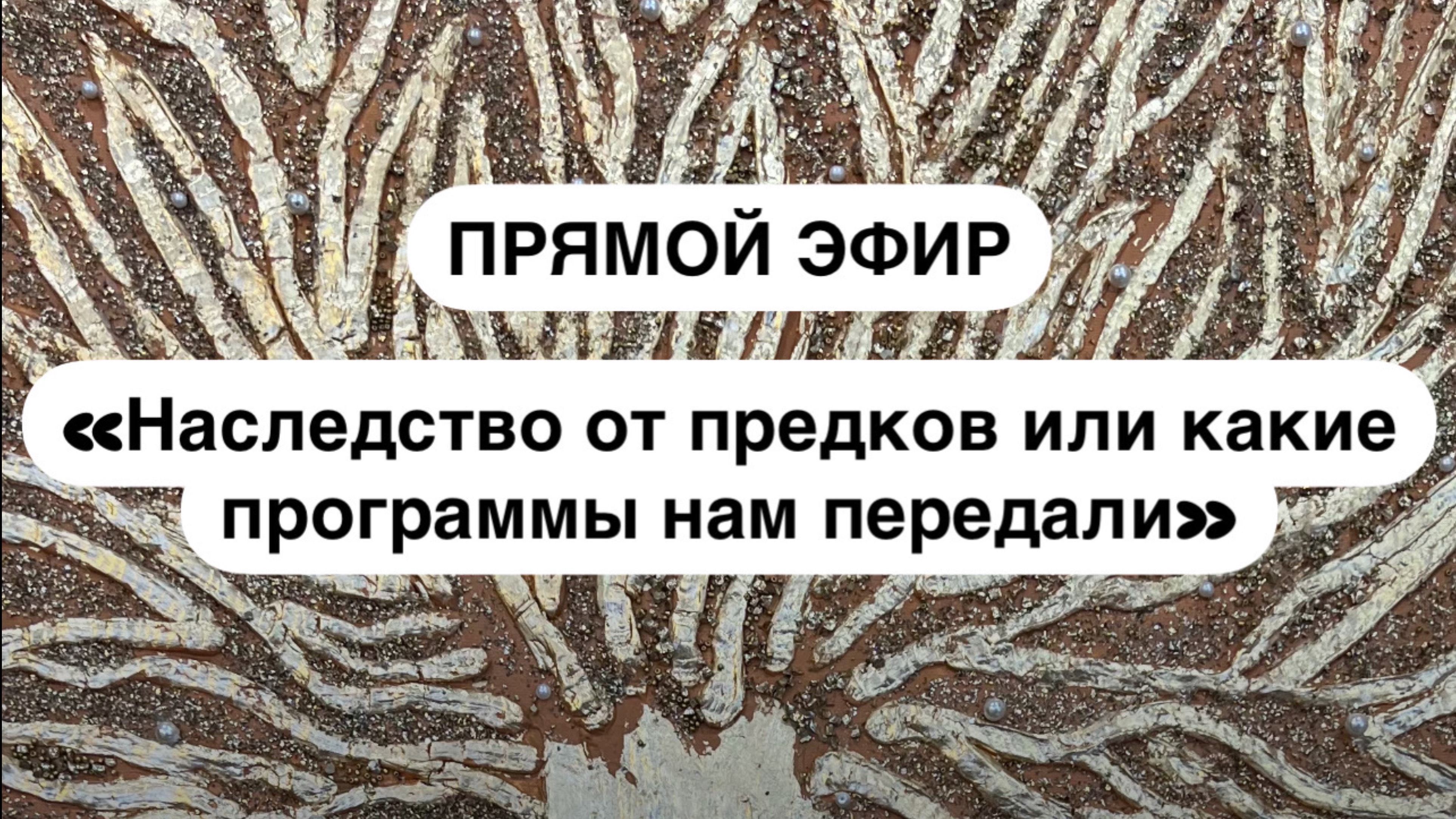 Родовые программы бедности смотреть онлайн