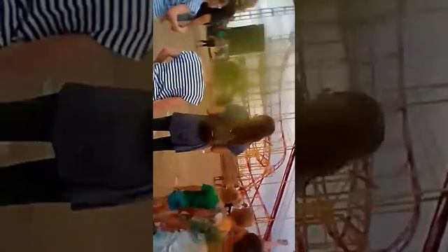 Фестиваль красок Анапа. смотреть онлайн