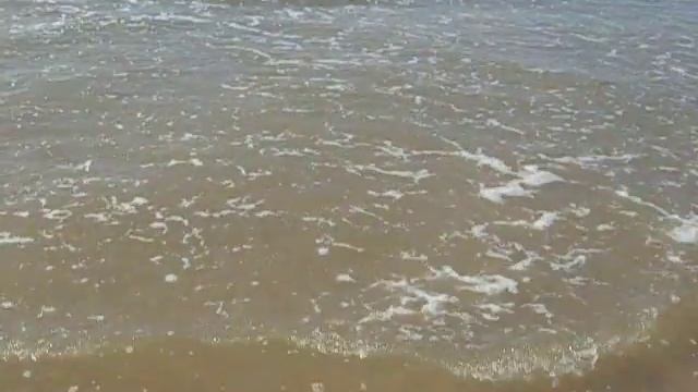 Латвия-2008, пляж в Микельторнисе