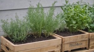 Огород на подоконнике. Создание и оборудование домашнего огорода - Сад-огород