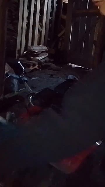 как правильно заводить мотоблок смотреть онлайн