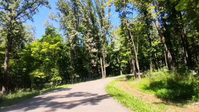 Солянка Парк Курск 2024 Июнь. Обзор Большого Круга.